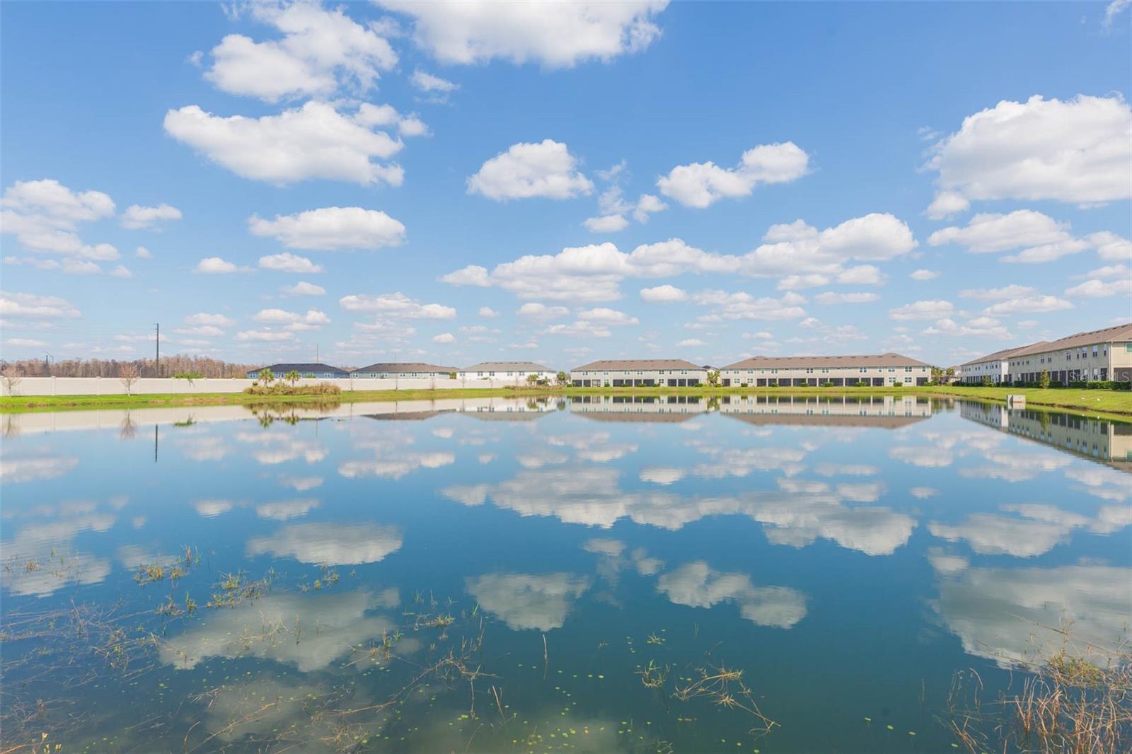2334 AUDUBON PRESERVE LN, LUTZ, FL, 33558