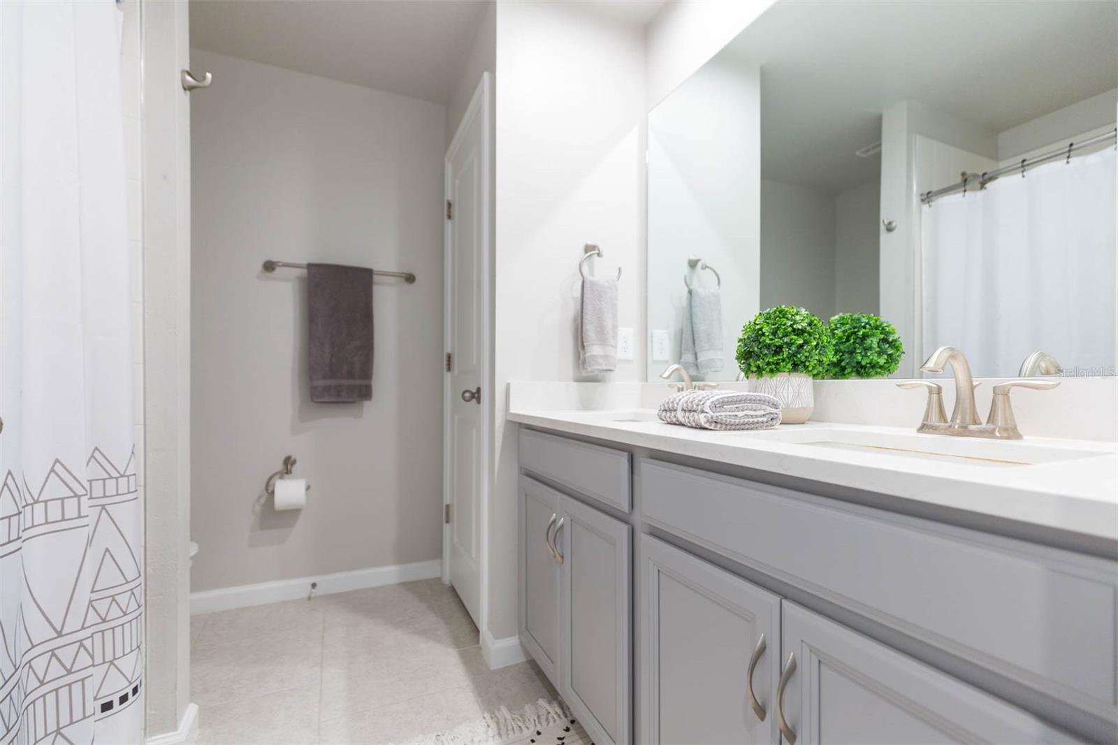 2334 AUDUBON PRESERVE LN, LUTZ, FL, 33558