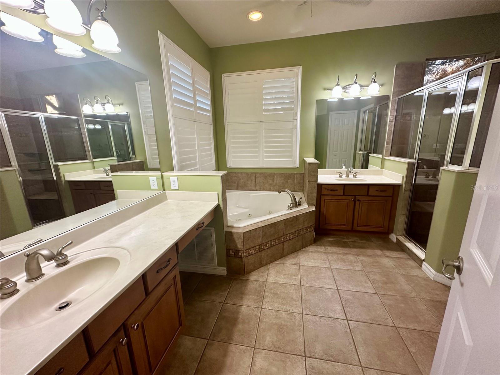 13932 BLUEBIRD POND RD, WINDERMERE, FL, 34786