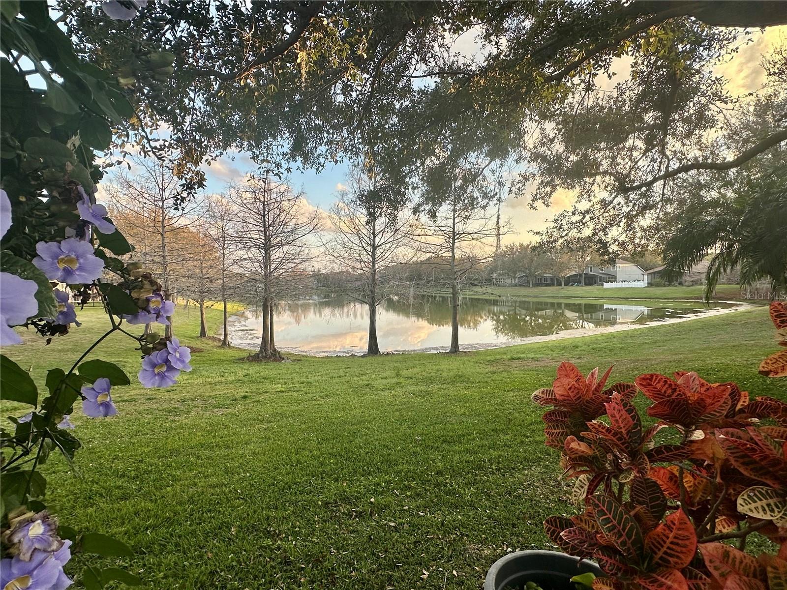 13932 BLUEBIRD POND RD, WINDERMERE, FL, 34786