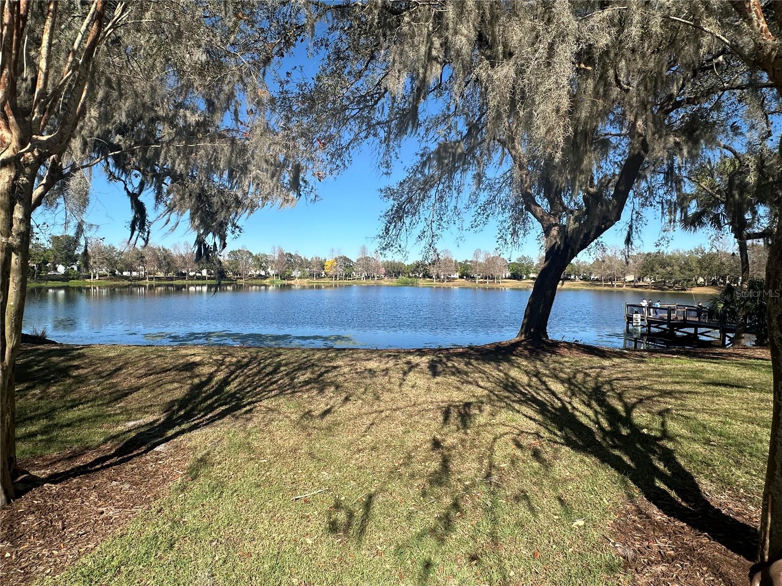 13932 BLUEBIRD POND RD, WINDERMERE, FL, 34786