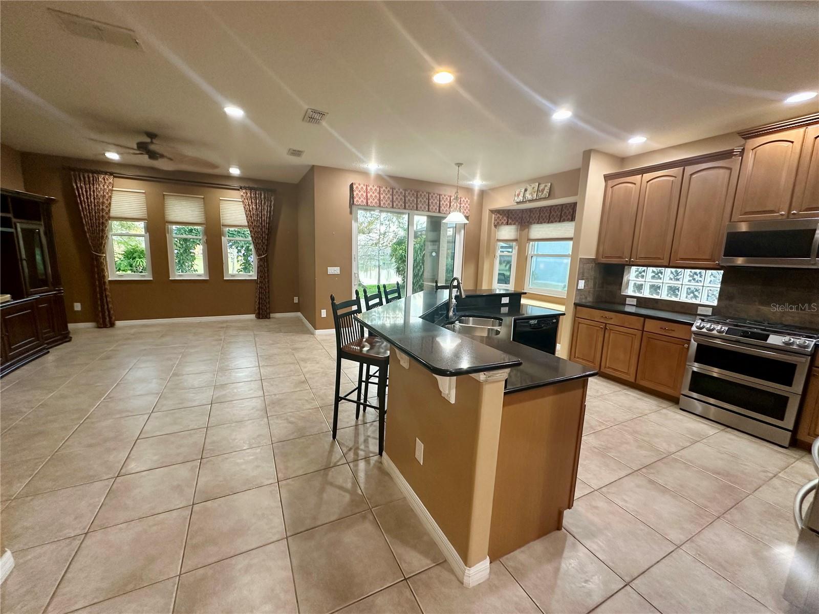 13932 BLUEBIRD POND RD, WINDERMERE, FL, 34786