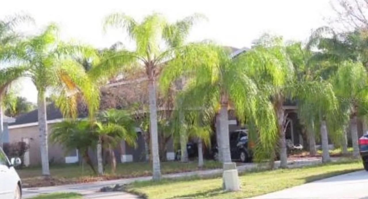 14024 CHERRY BUSH CT, ORLANDO, FL, 32828