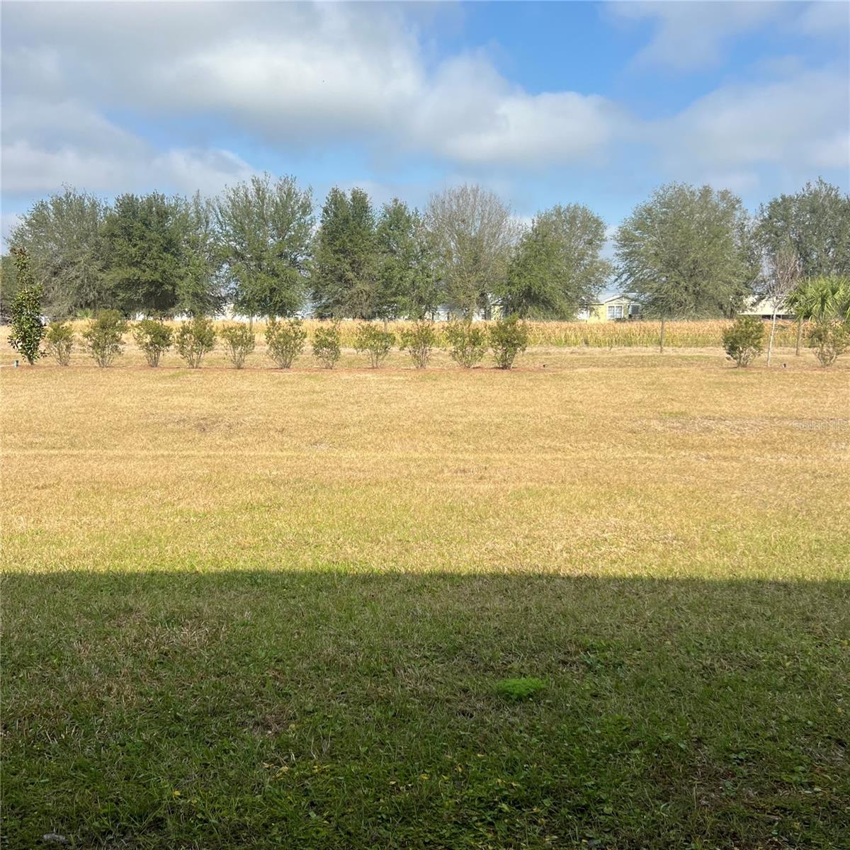 3526 MARIGOLD PATCH CT, PLANT CITY, FL, 33565