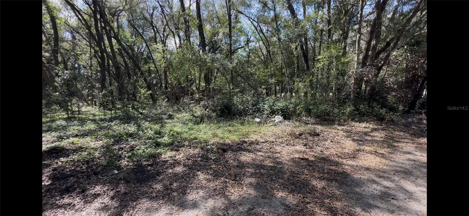4360 E TRAIL X, INVERNESS, FL, 34452