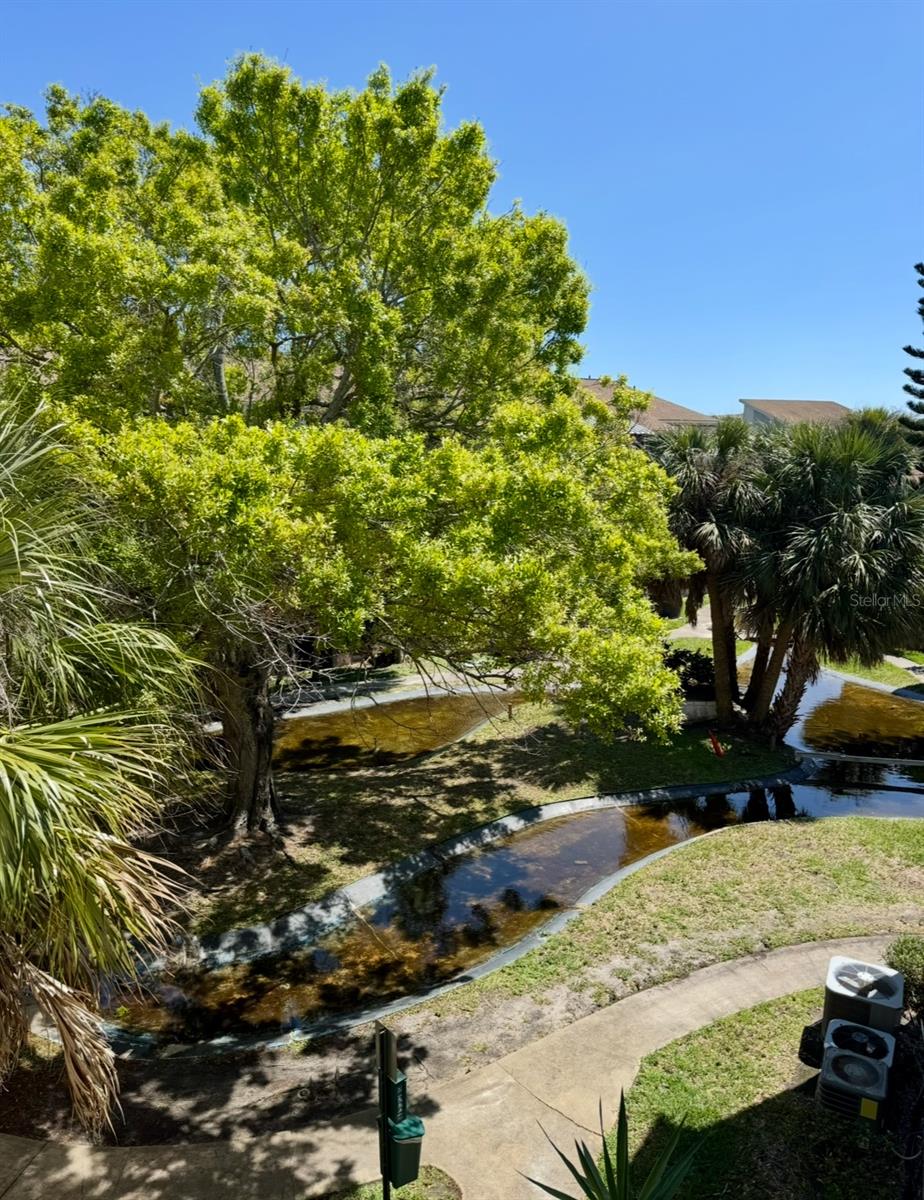 6312 NEWTOWN CIR #12C2, TAMPA, FL, 33615