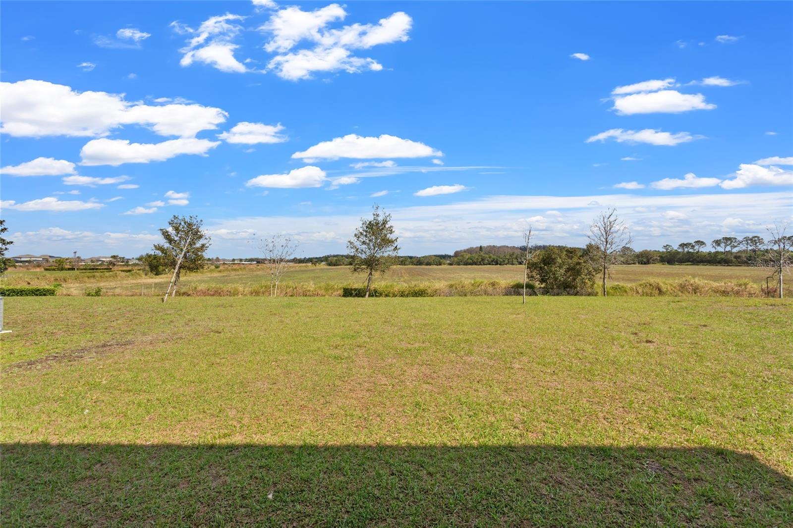 293 PINEYWOODS ST, ST CLOUD, FL, 34772