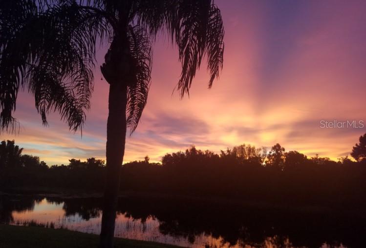 803 CORAL BEAN CV, VENICE, FL, 34293