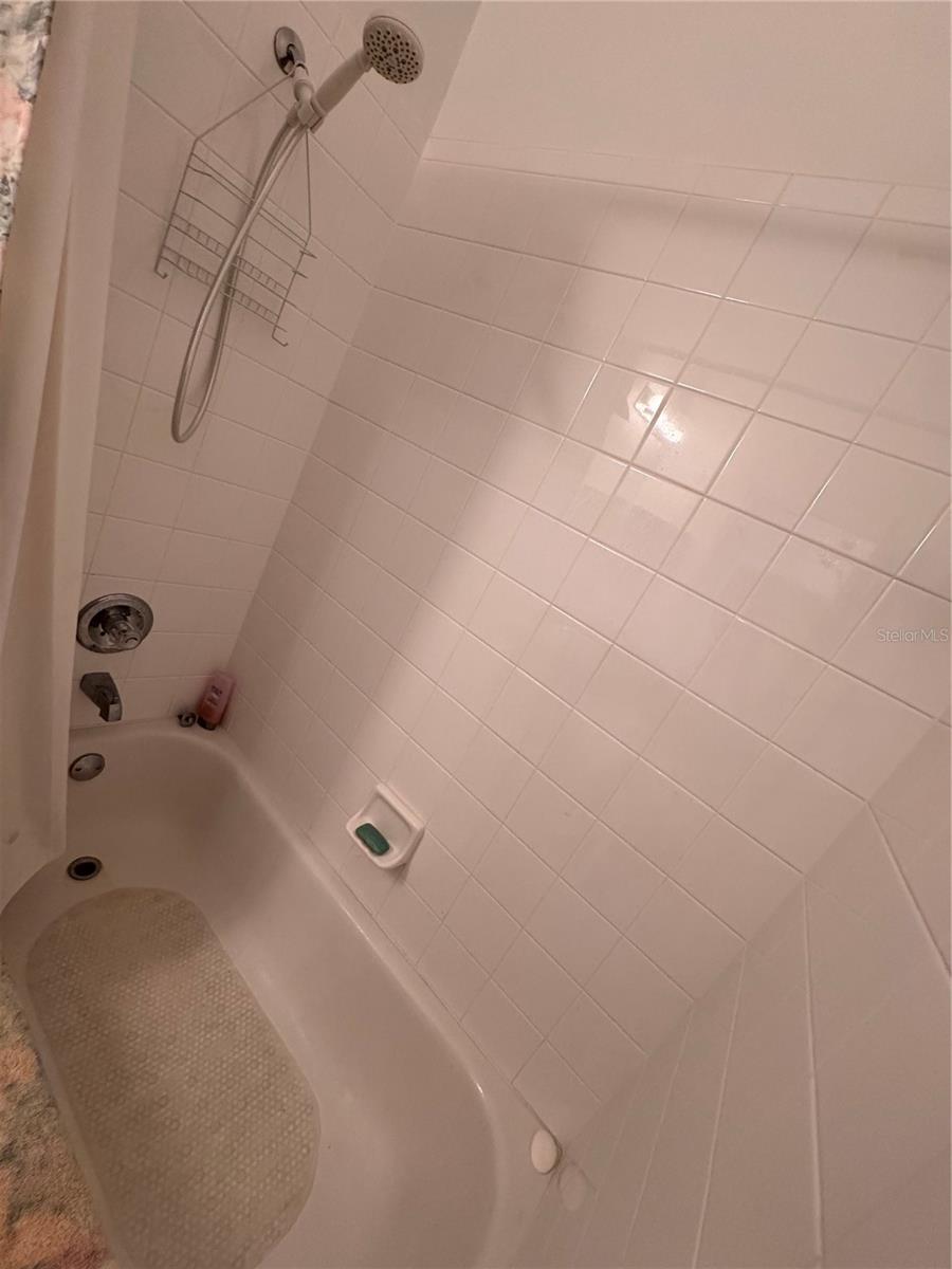25124 TWELVE OAKS RD, LEESBURG, FL, 34748