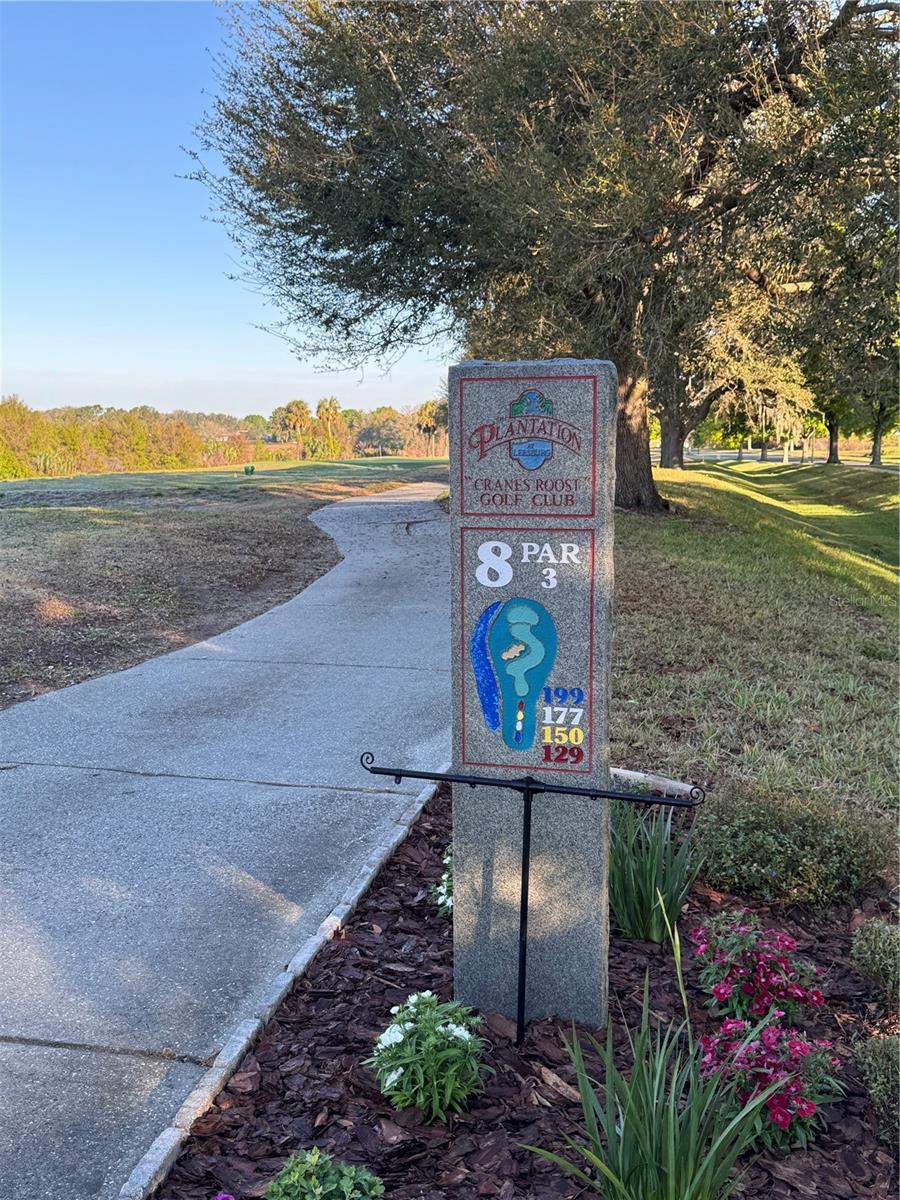 25124 TWELVE OAKS RD, LEESBURG, FL, 34748