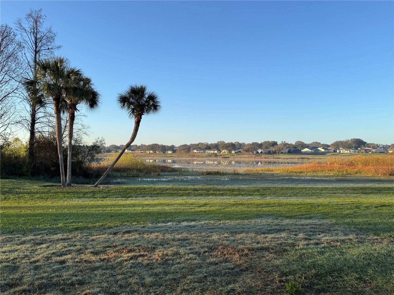 25124 TWELVE OAKS RD, LEESBURG, FL, 34748
