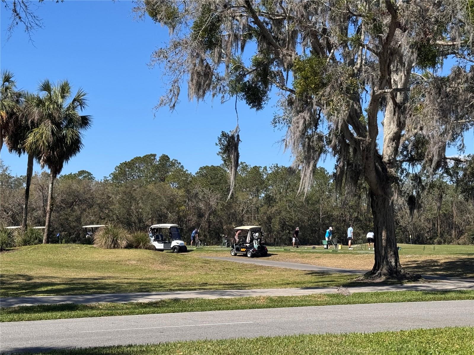 25124 TWELVE OAKS RD, LEESBURG, FL, 34748