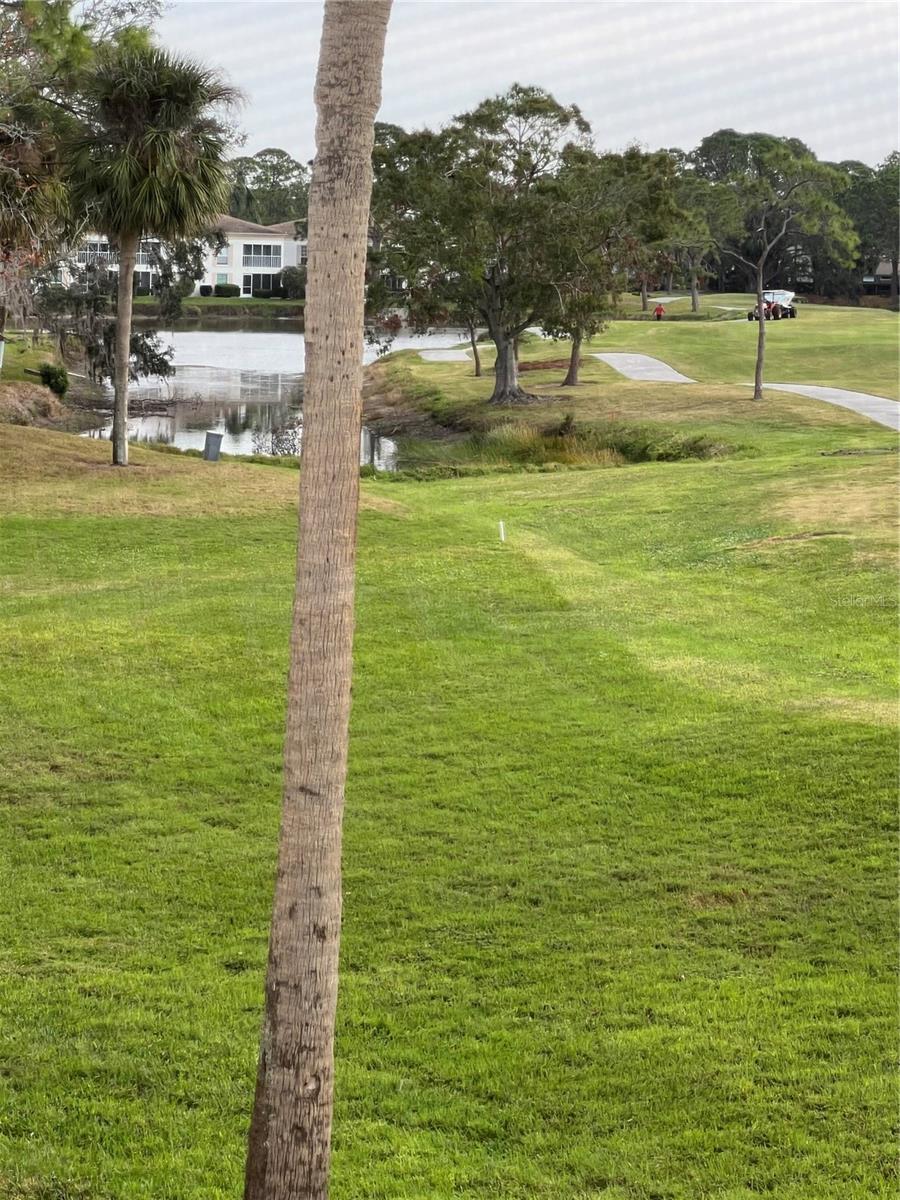3534 RICHWOOD LINK #44, SARASOTA, FL, 34235