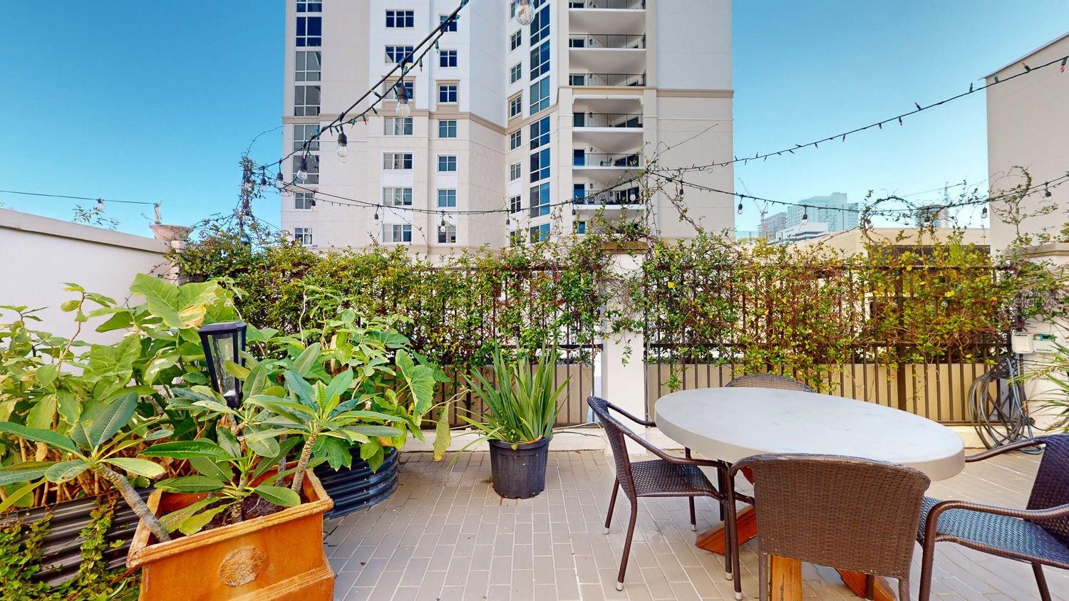 146 4TH AVE NE #204, ST PETERSBURG, FL, 33701