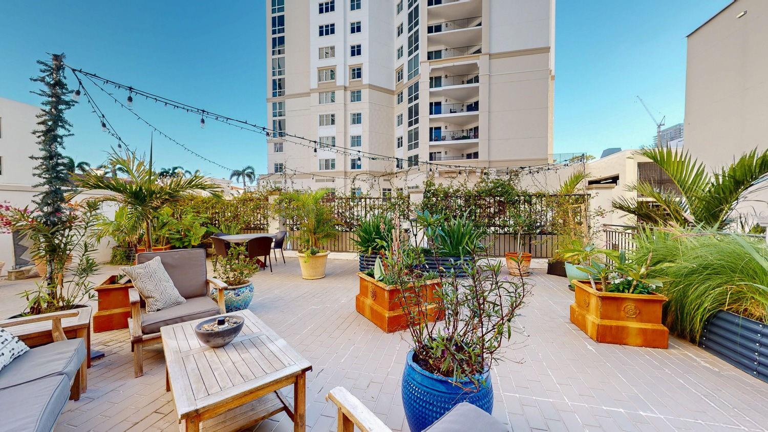 146 4TH AVE NE #204, ST PETERSBURG, FL, 33701