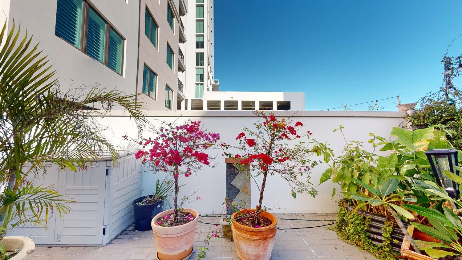 146 4TH AVE NE #204, ST PETERSBURG, FL, 33701