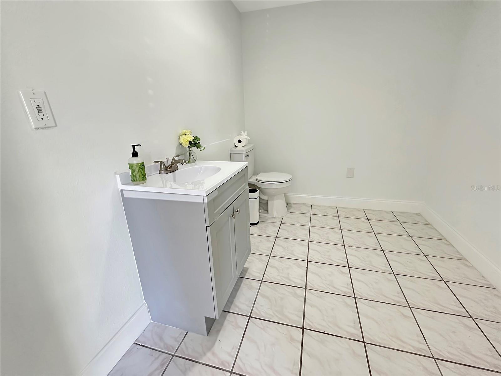 3550 N COUNTY ROAD 19A, MOUNT DORA, FL, 32757