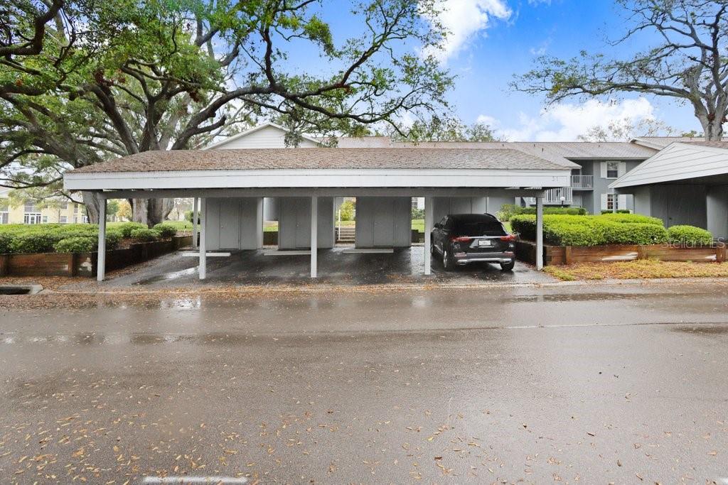 1420 OAK HILL DR #102, DUNEDIN, FL, 34698