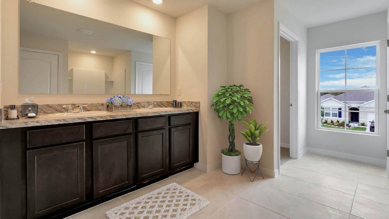 1210 ALSTONIA LN, MOUNT DORA, FL, 32757