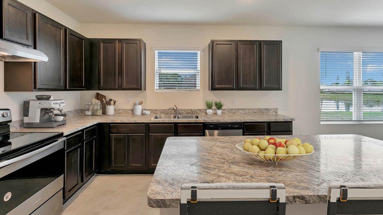 1210 ALSTONIA LN, MOUNT DORA, FL, 32757