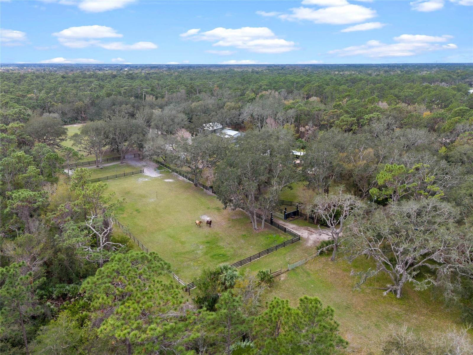 1715 FERN PARK DR, PORT ORANGE, FL, 32128