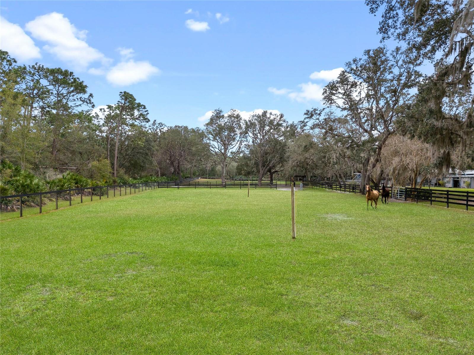 1715 FERN PARK DR, PORT ORANGE, FL, 32128