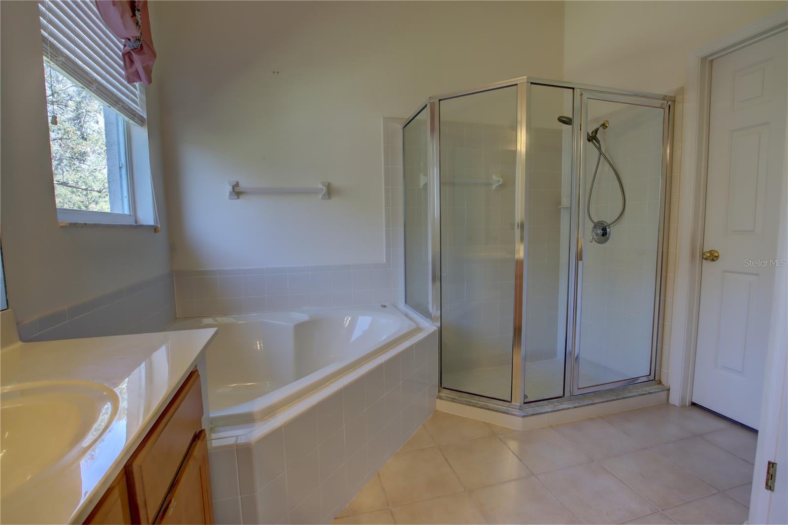 781 LAKEWORTH CIR, LAKE MARY, FL, 32746