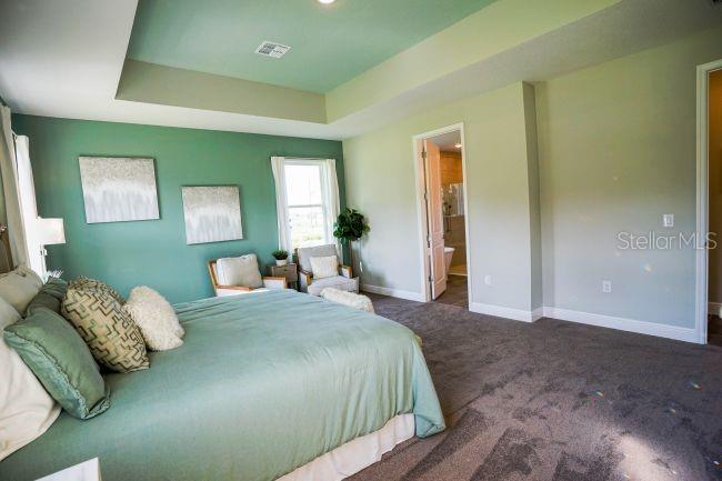9995 DOLPHIN GULL CIR, THONOTOSASSA, FL, 33592