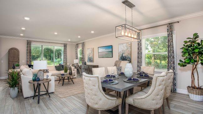 9995 DOLPHIN GULL CIR, THONOTOSASSA, FL, 33592