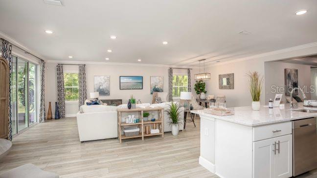 9995 DOLPHIN GULL CIR, THONOTOSASSA, FL, 33592