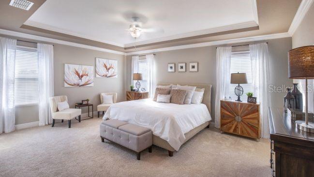 9995 DOLPHIN GULL CIR, THONOTOSASSA, FL, 33592