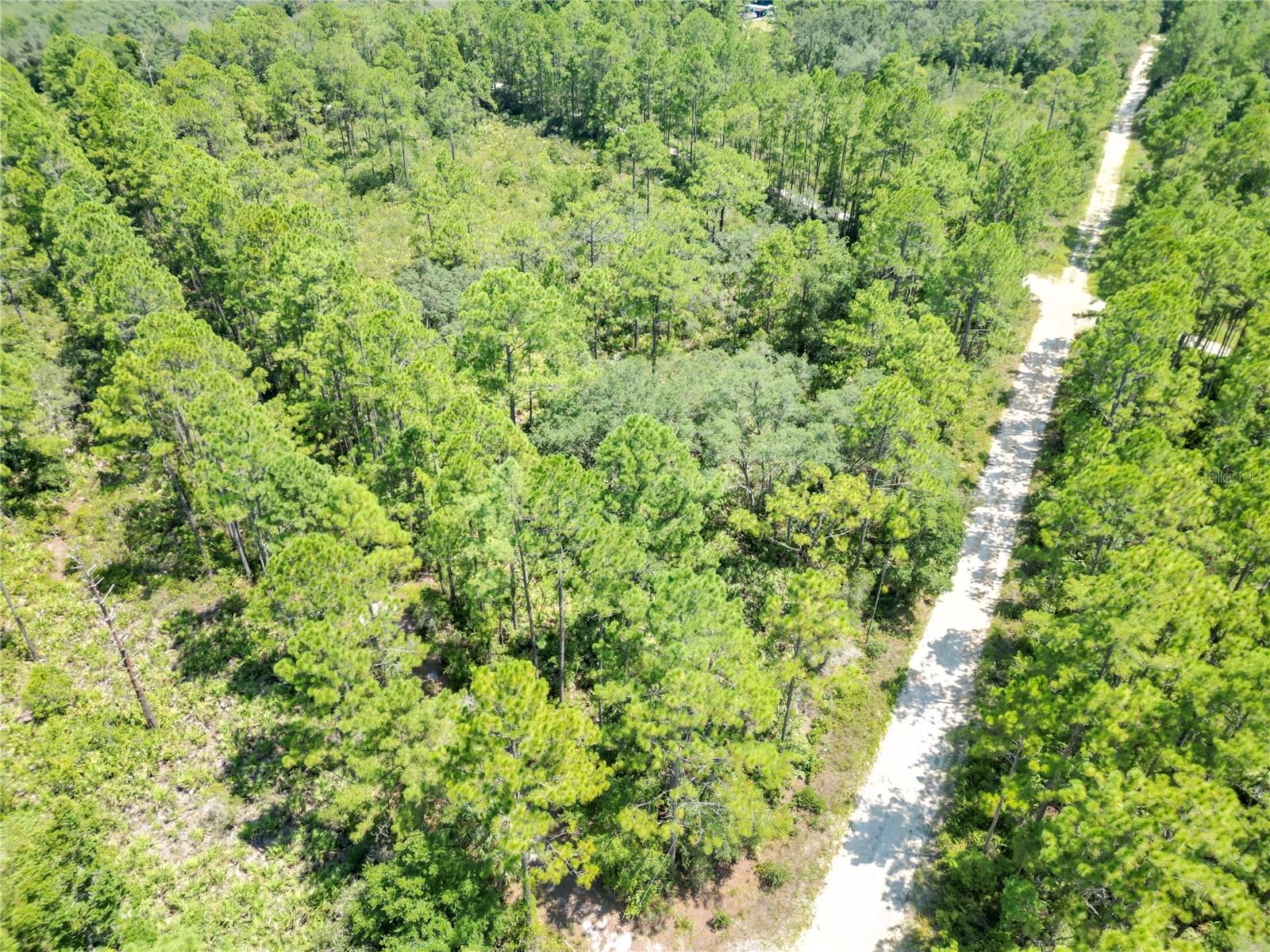313 TALL PINE TRL, SATSUMA, FL, 32189