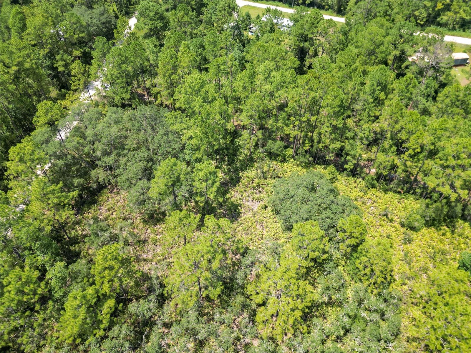 313 TALL PINE TRL, SATSUMA, FL, 32189