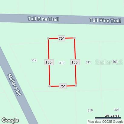 313 TALL PINE TRL, SATSUMA, FL, 32189