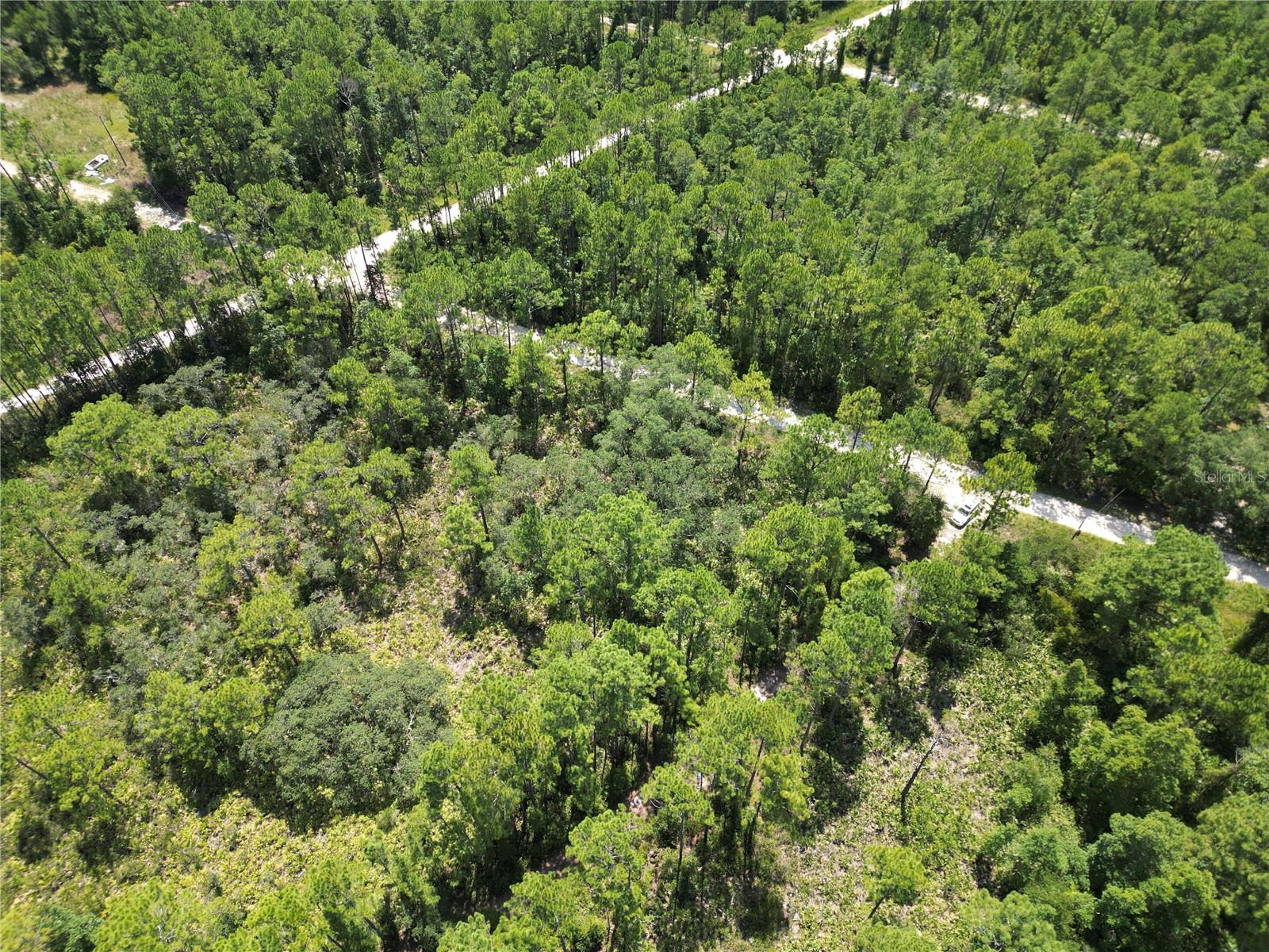 313 TALL PINE TRL, SATSUMA, FL, 32189