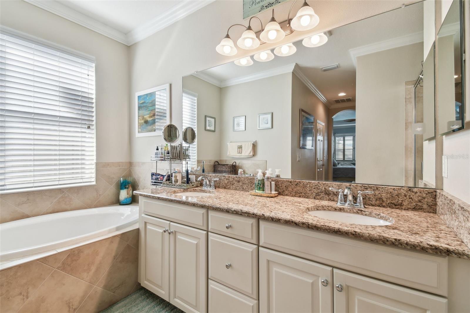 17517 BRIGHT WHEAT DR, LITHIA, FL, 33547