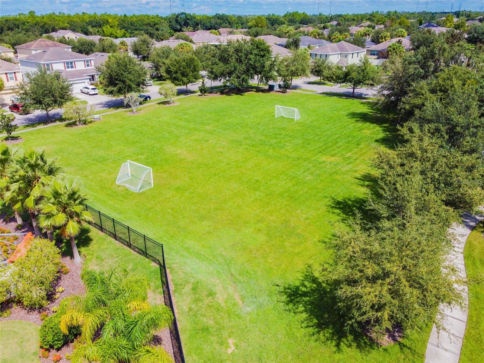 17517 BRIGHT WHEAT DR, LITHIA, FL, 33547