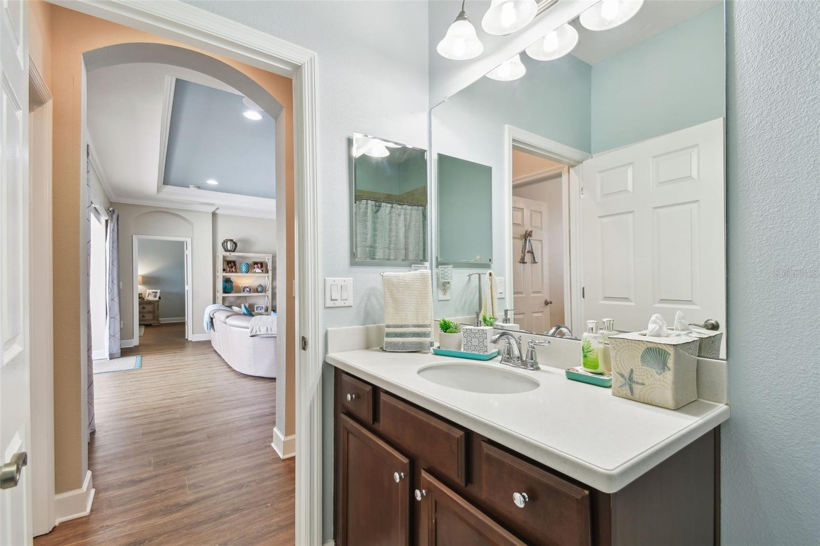 17517 BRIGHT WHEAT DR, LITHIA, FL, 33547