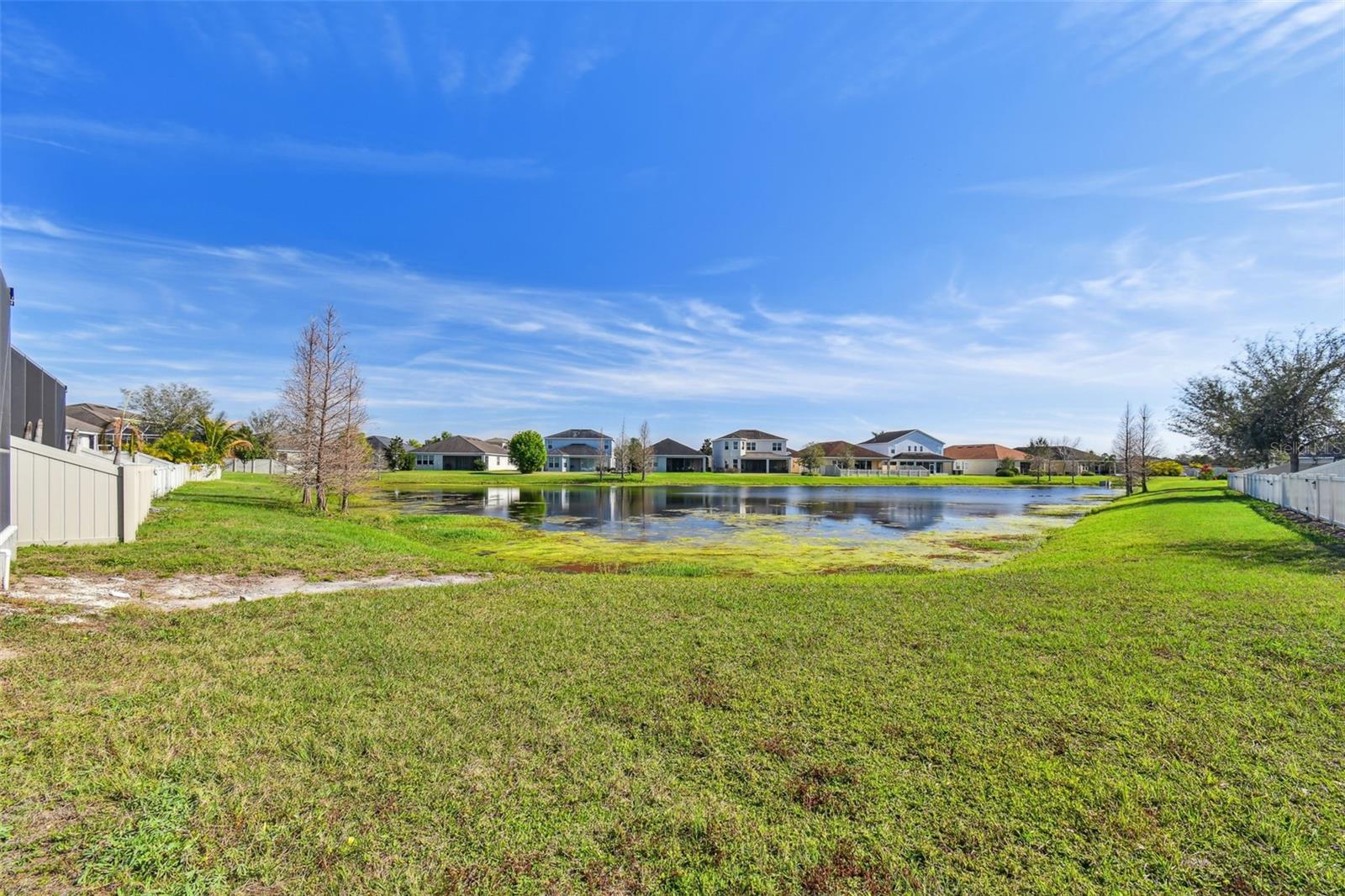 17517 BRIGHT WHEAT DR, LITHIA, FL, 33547