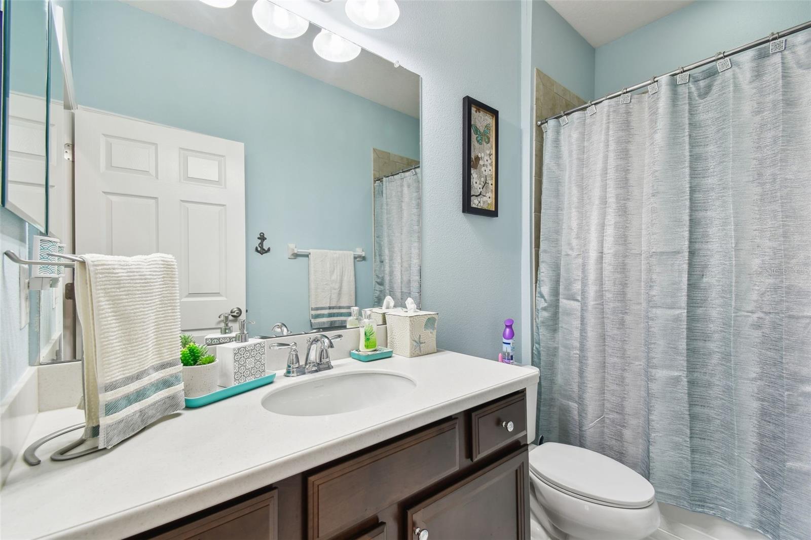 17517 BRIGHT WHEAT DR, LITHIA, FL, 33547