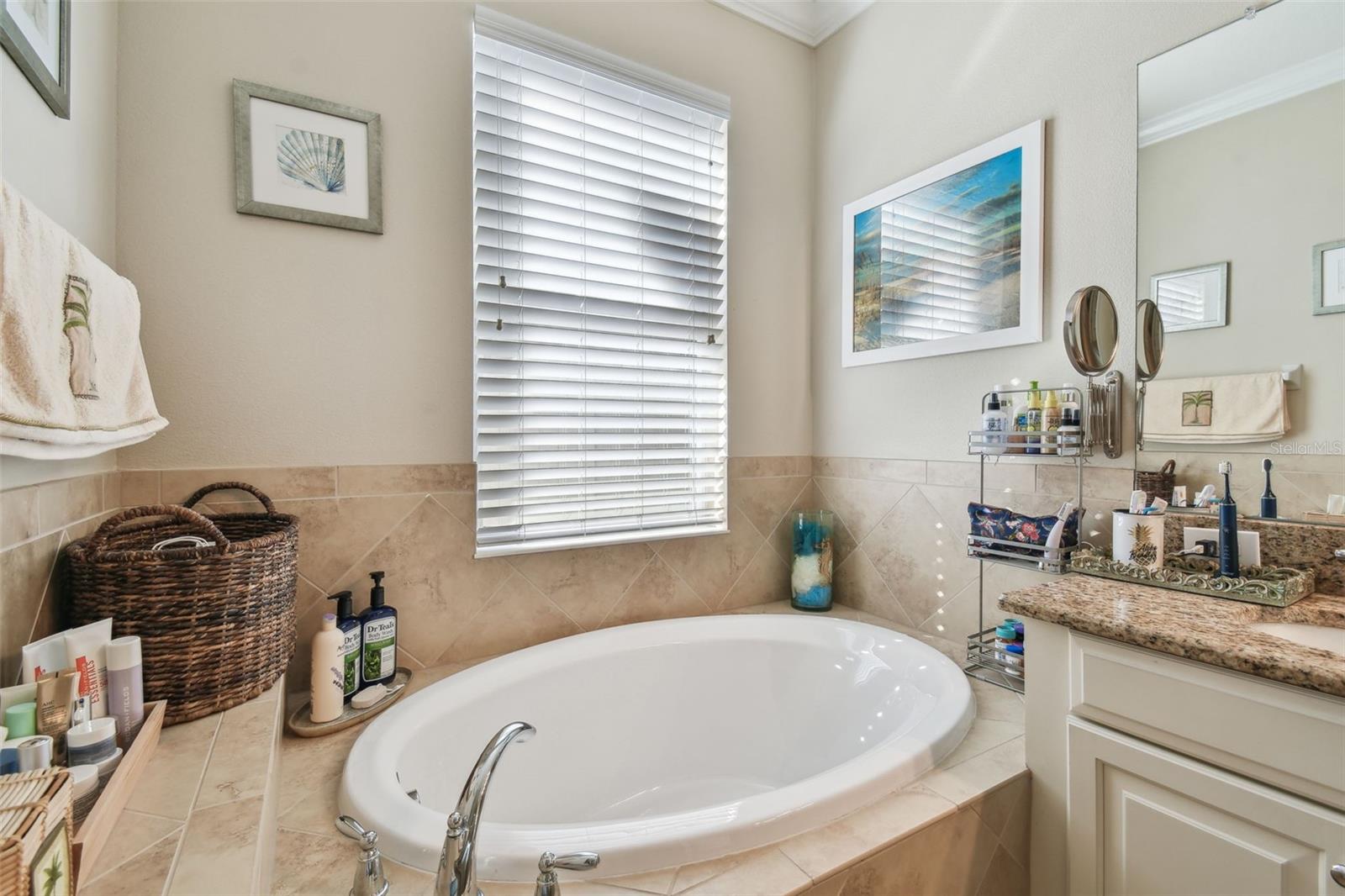 17517 BRIGHT WHEAT DR, LITHIA, FL, 33547