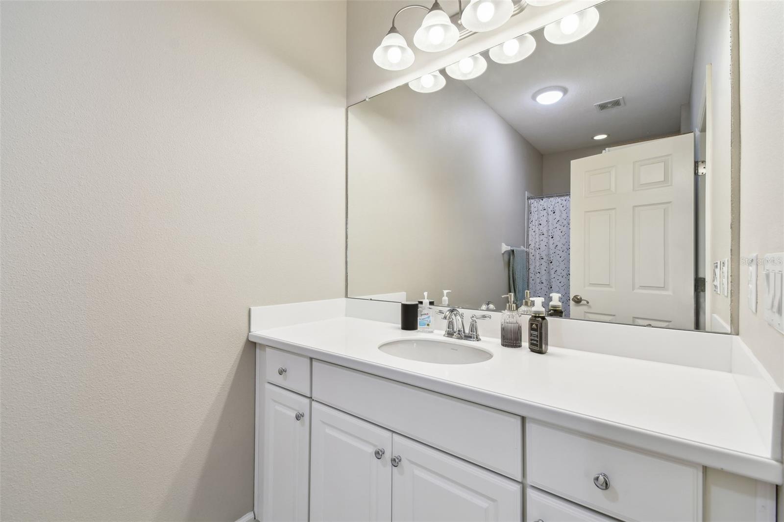 17517 BRIGHT WHEAT DR, LITHIA, FL, 33547