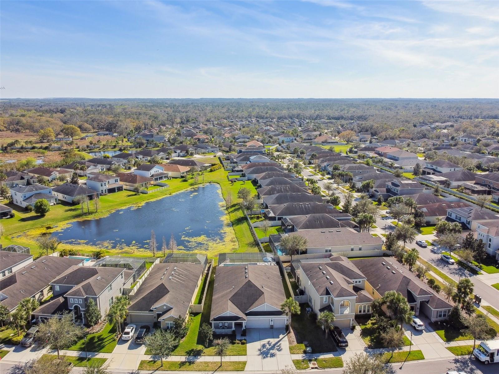 17517 BRIGHT WHEAT DR, LITHIA, FL, 33547