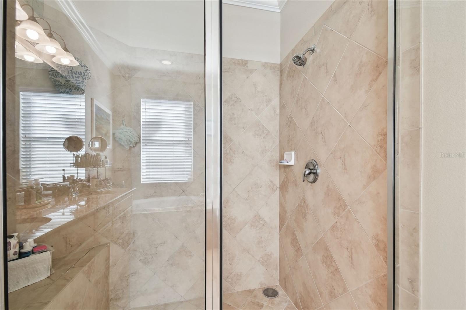 17517 BRIGHT WHEAT DR, LITHIA, FL, 33547