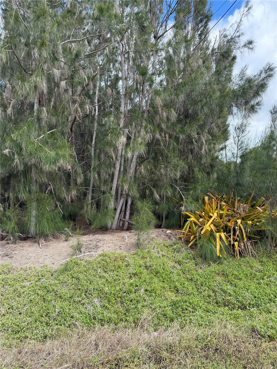 14262 KENT RD, PORT CHARLOTTE, FL, 33953