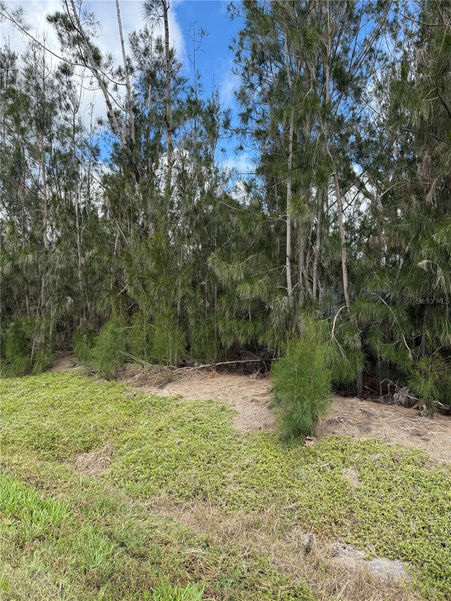 14262 KENT RD, PORT CHARLOTTE, FL, 33953