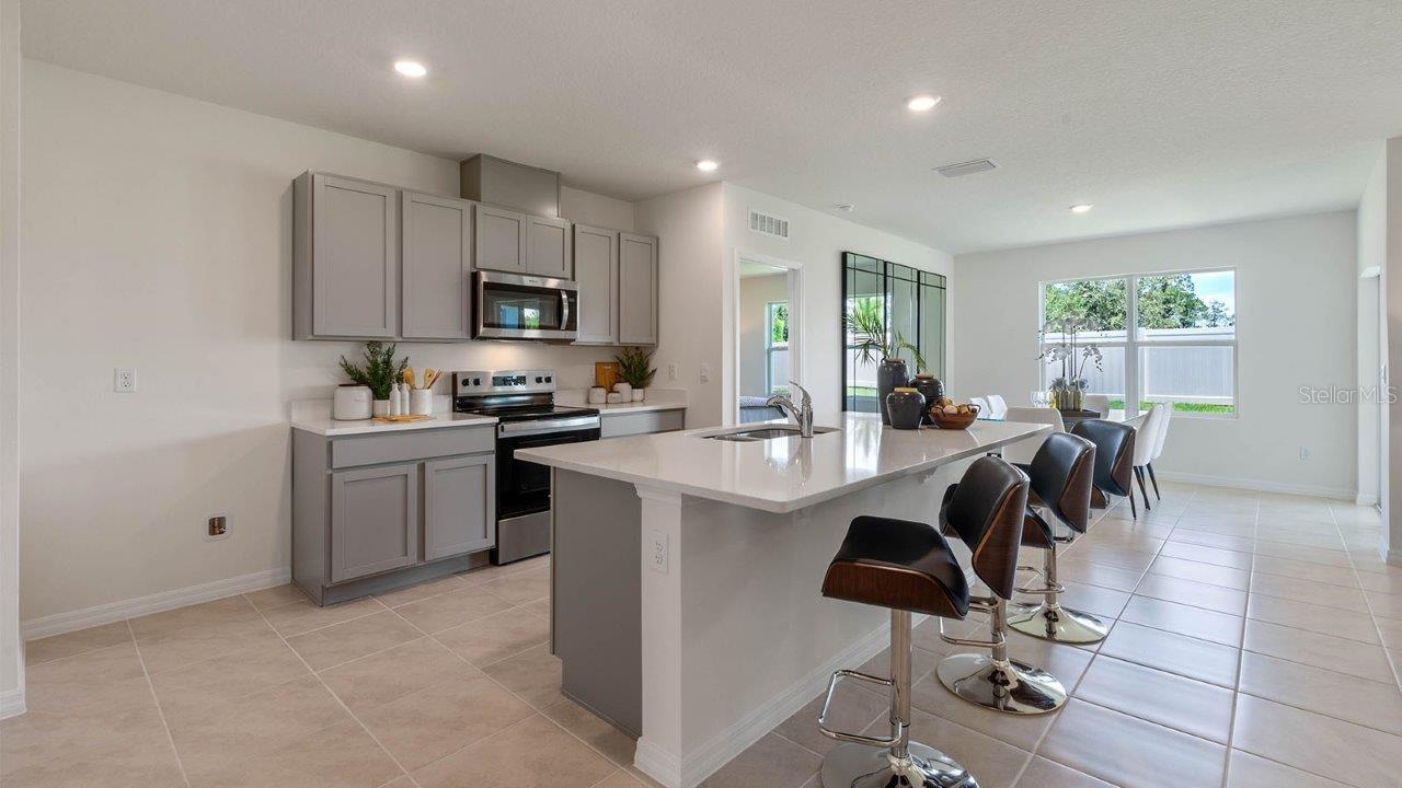 1214 ALSTONIA LN, MOUNT DORA, FL, 32757