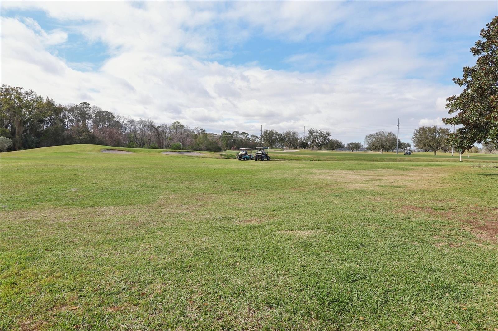 32222 SUMMERTREE CIRCLE, LEESBURG, FL, 34748