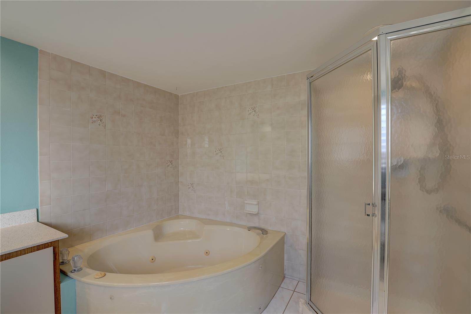 3200 CHARTER CLUB DR #A1, TARPON SPRINGS, FL, 34688