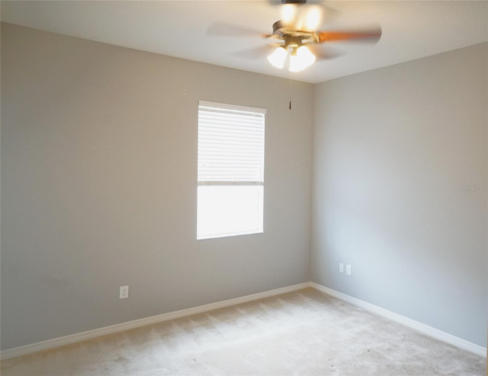 11554 FOUNTAINHEAD DR, TAMPA, FL, 33626